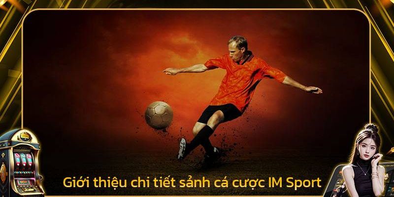 IM Thể Thao - Thiên Đường Giải Trí Đẳng Cấp Châu Á Nhiều Năm 14 IM thể thao xứng danh thiên đường giải trí châu Á