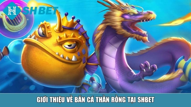 Bắn Cá Thần Rồng – Trải Nghiệm Săn Cá Đỉnh Cao Tại Nhà Cái SHBET 10 Giới thiệu về bắn cá Thần rồng tại SHBET